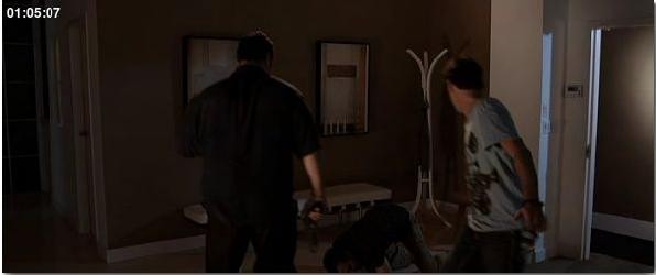 Shark City Fotoğrafı