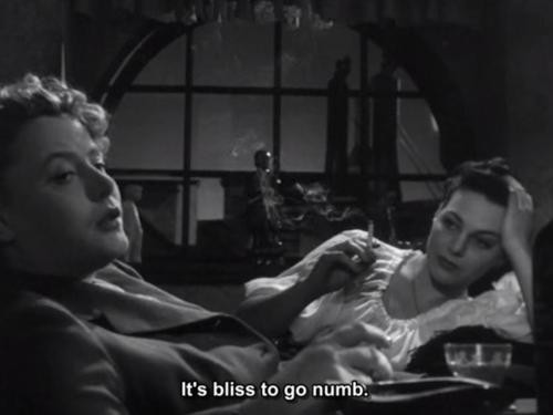 Susuzluk Fotoğrafı