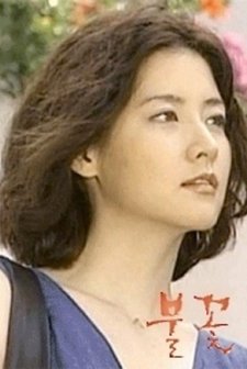 Fireworks (2000) afişi