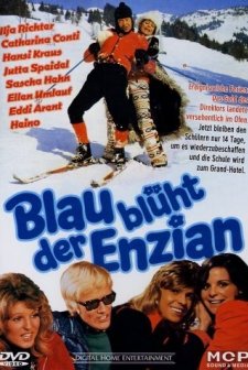 Blau Blüht Der Enzian (1973) afişi