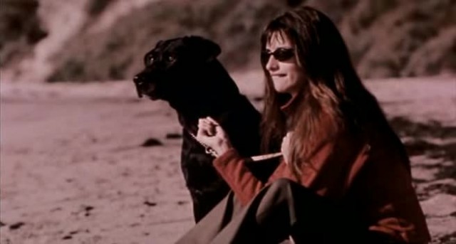 Vanilla Sky Fotoğrafı