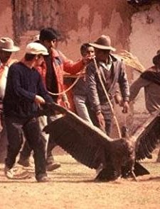 Apu Condor (the Condor God) (1992) afişi