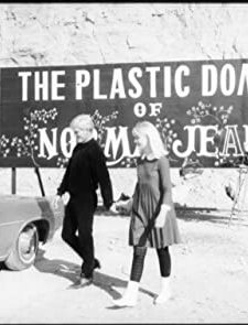 The Plastic Dome Of Norma Jean (1966) afişi