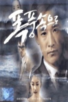 Into The Storm (1997) afişi