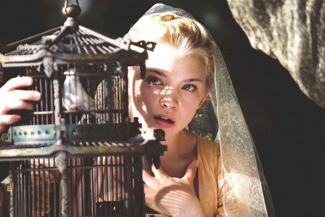 Kazanova fotoğrafı