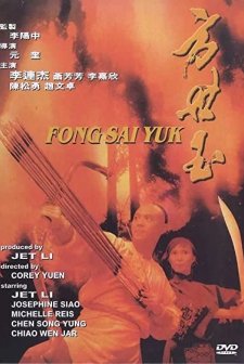Fong sai yuk (1993) afişi