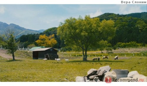 Shokudo Katasumuri Fotoğrafı