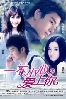 Fall ın Love (2011) afişi