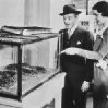 Murders In The Zoo Fotoğrafı