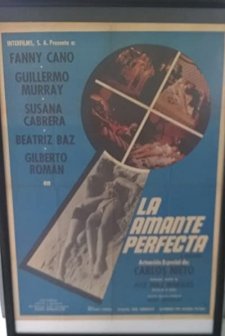 La amante perfecta (1970) afişi