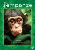 Chimpanzee fotoğrafı