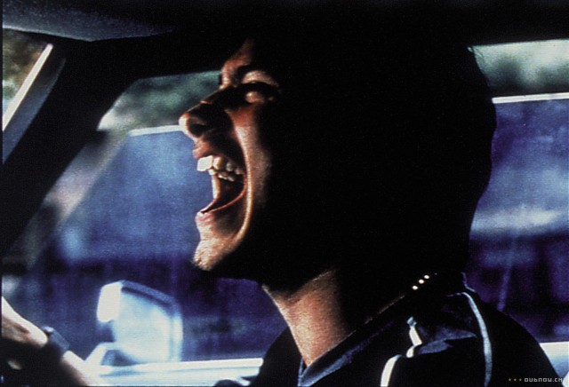 Paramparça Aşklar Köpekler Fotoğrafı