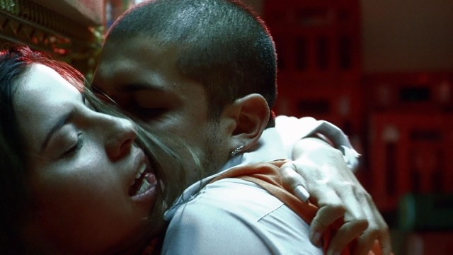 Paramparça Aşklar Köpekler Fotoğrafı