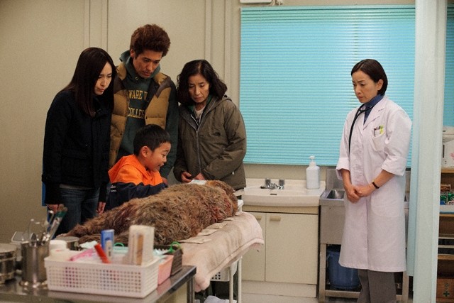 Wanko: The Story of Me, My Family and Rock Fotoğrafı