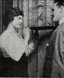 Betty, The Boy And The Bird (1916) afişi