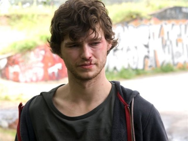 Mother Teresa Of Cats Fotoğrafı