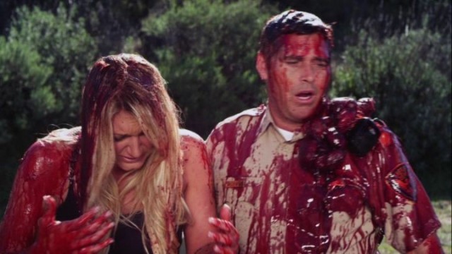 Kumdaki Dehşet Fotoğrafı