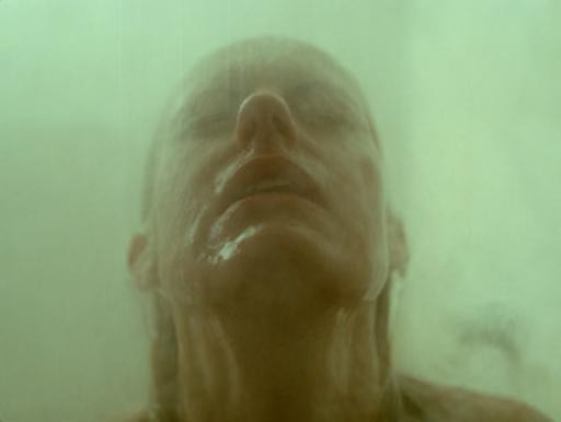 The Abandoned Fotoğrafı