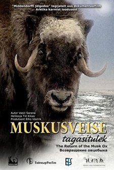Muskusveise Tagasitulek (2008) afişi