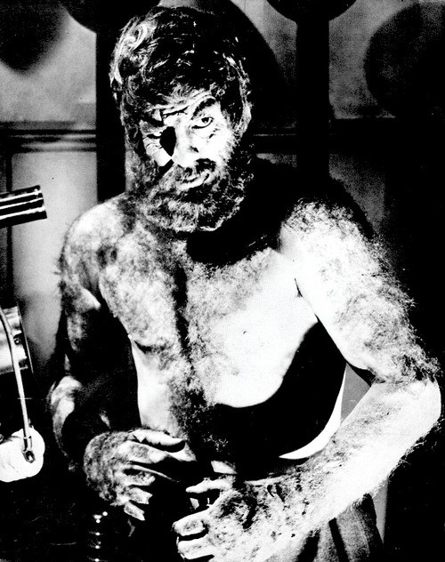 Master Minds Fotoğrafı