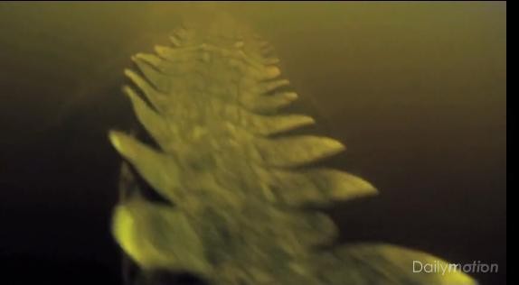 Creature Fotoğrafı