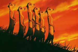 Aslan Kral Fotoğrafı