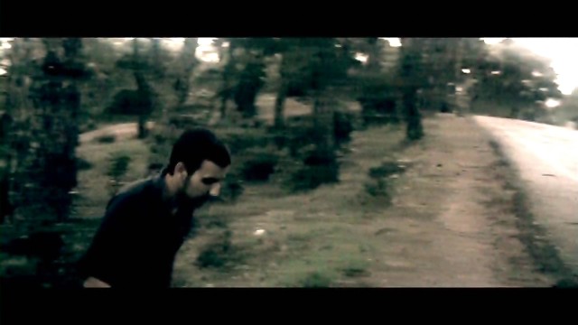 Topal Martı Fotoğrafı