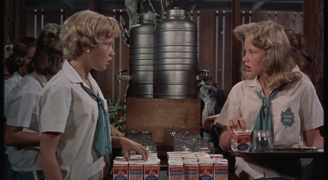 The Parent Trap Fotoğrafı