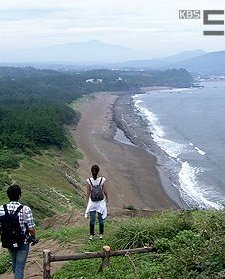 The Woman From The Olle Road (2011) afişi