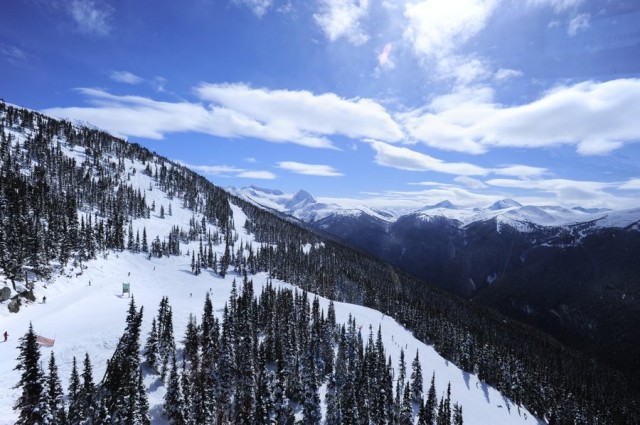 Winter Smells Fotoğrafı