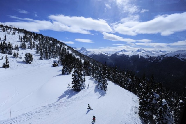 Winter Smells fotoğrafı