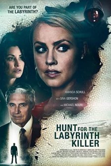 Hunt for the Labyrinth Killer (2013) afişi