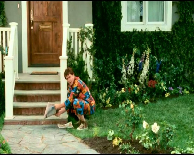 Dönüş Sezonu Fotoğrafı