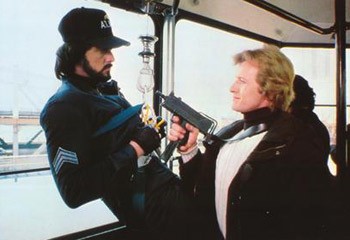 Gece Şahini Fotoğrafı