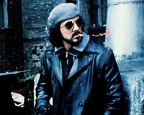 Gece Şahini Fotoğrafı