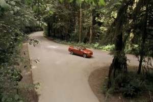 Korku Kapanı 2 Fotoğrafı