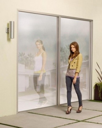 The Lying Game Fotoğrafı