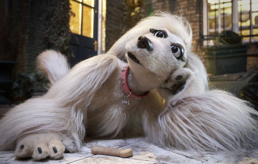 Mongrels Fotoğrafı