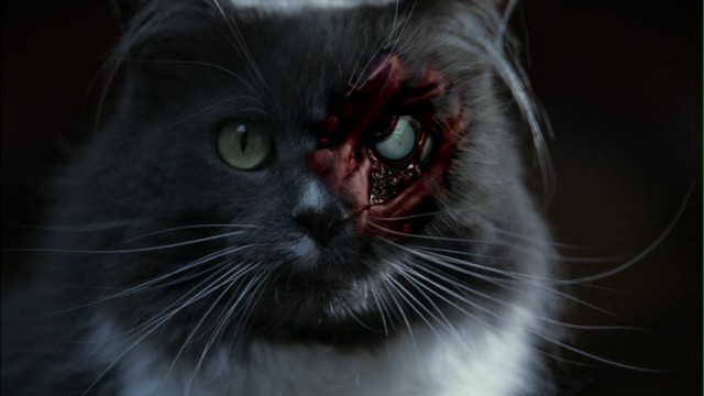 Crouch End fotoğrafı