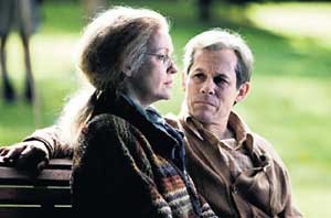 Tüm Kargaşanın Sonu Fotoğrafı