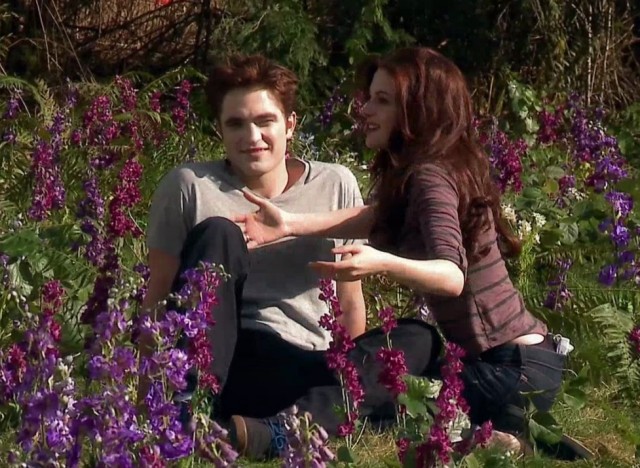 Alacakaranlık Efsanesi: Şafak Vakti Bölüm 2 Fotoğrafı