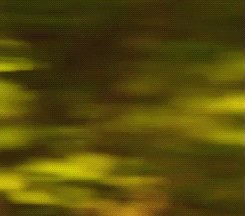 Alacakaranlık Efsanesi: Şafak Vakti Bölüm 2 Fotoğrafı