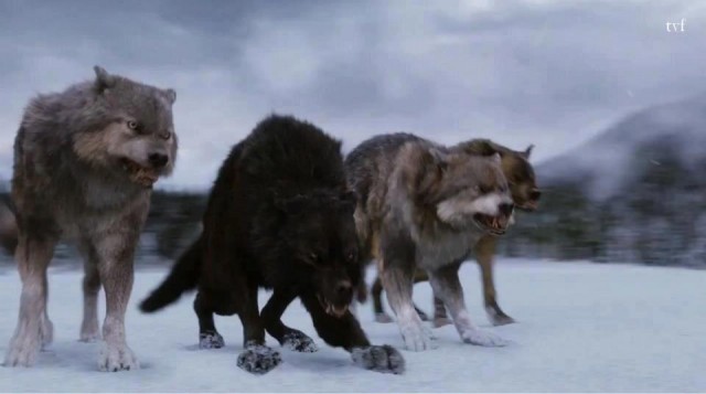 Alacakaranlık Efsanesi: Şafak Vakti Bölüm 2 Fotoğrafı