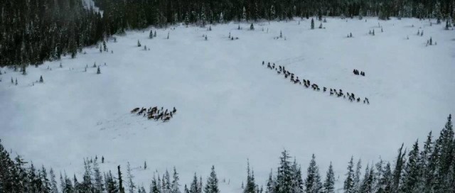 Alacakaranlık Efsanesi: Şafak Vakti Bölüm 2 Fotoğrafı