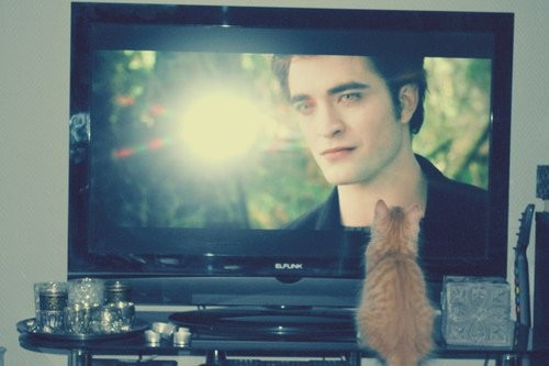 Alacakaranlık Efsanesi: Şafak Vakti Bölüm 2 Fotoğrafı