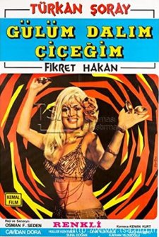 Gülüm Dalım Çiçeğim (1971) afişi
