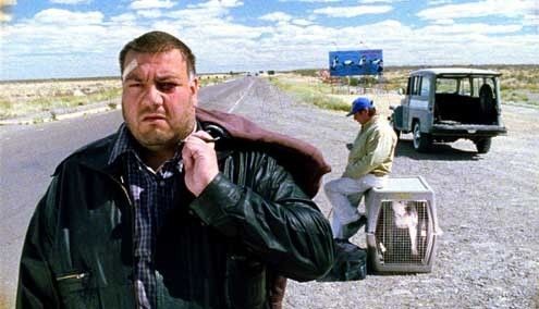 Bombon Köpek Fotoğrafı