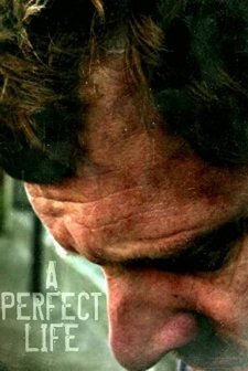 A Perfect Life (2011) afişi