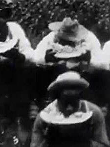 Watermelon Contest (1900) afişi