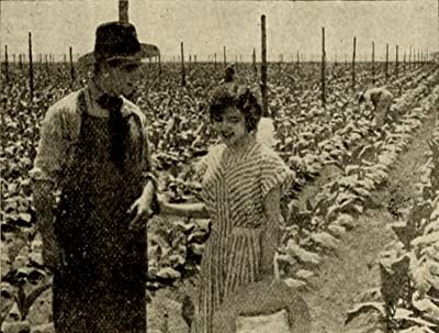 The Rose Of Kentucky (1911) afişi